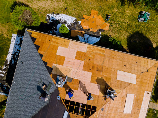 Best Flat Roof Repair Services  in Buffalo, TX