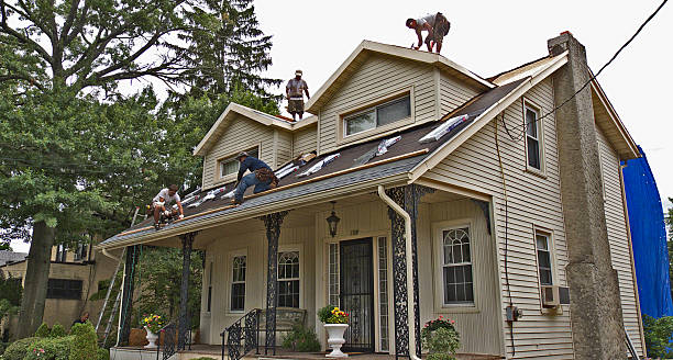 Best Roof Gutter Cleaning  in Buffalo, TX
