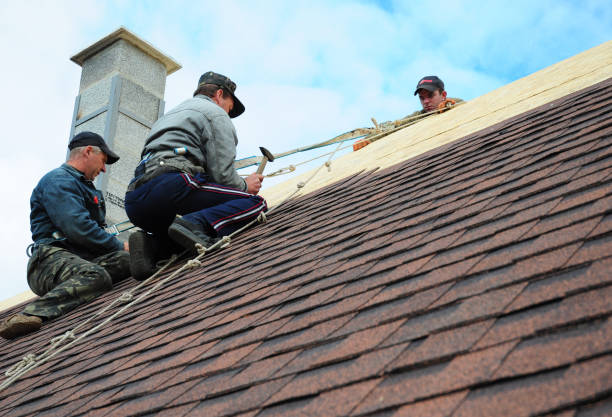 Best Flat Roof Repair Services  in Buffalo, TX